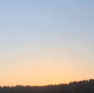 Meet your Posher, Calli